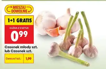 Biedronka Czosnek oferta