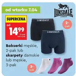 Biedronka Skarpety damskie lub męskie oferta