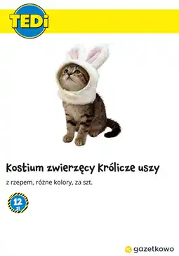 Tedi Kostium zwierzęcy Królicze uszy oferta