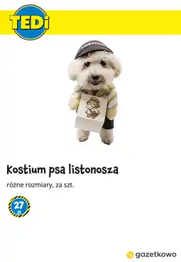 Tedi Kostium psa listonosza oferta
