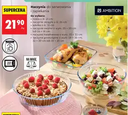 Biedronka Naczynie Ambition oferta