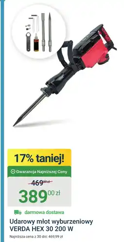 ERLI Młot wyburzeniowy Verda oferta