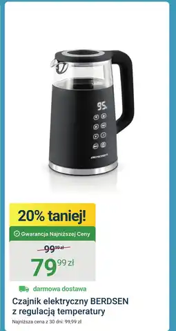 ERLI Czajnik elektryczny Berdsen oferta