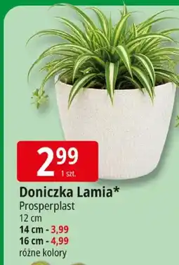 E.Leclerc Doniczka Lamia 12cm oferta
