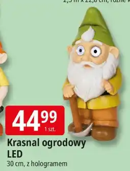 E.Leclerc Krasnal ogrodowy LED oferta