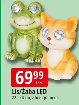 E.Leclerc Lis LED z hologramem oferta