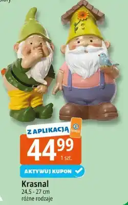 E.Leclerc Krasnal 24.5 - 27 cm różne rodzaje oferta