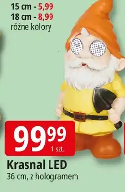 E.Leclerc Krasnal LED 36 cm, z hologramem oferta