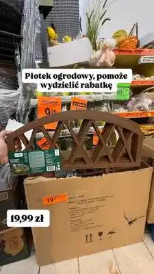 Biedronka Płotek ogrodowy oferta