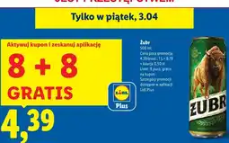 Lidl Piwo Żubr 8+8 GRATIS oferta