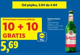 Lidl Piwo Budweiser Budvar 10+10 GRATIS oferta