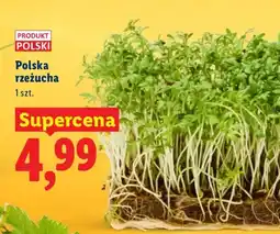 Lidl Rzeżucha polska oferta