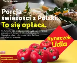 Lidl Pomidory polskie jedyne malinowe luzem oferta