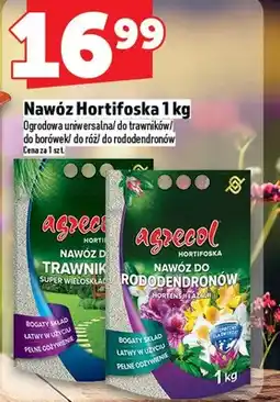 Topaz Nawóz Hortifoska oferta