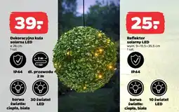 Netto Reflektor solarny LED oferta