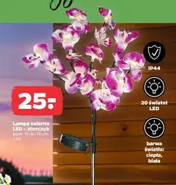 Netto Lampa solarna LED storczyk oferta