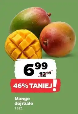 Netto Mango dojrzałe oferta