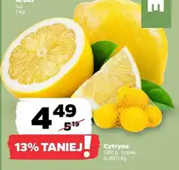 Netto Cytryna oferta