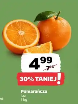 Netto Pomarańcza oferta