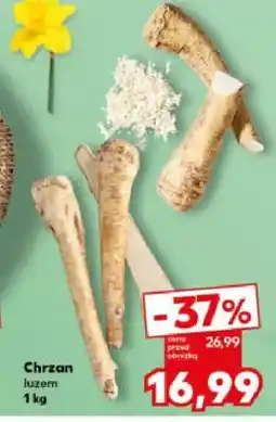Kaufland Chrzan luzem oferta