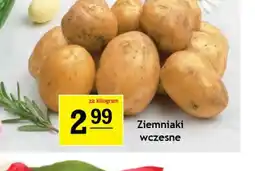 Gram Market Ziemniaki wczesne oferta