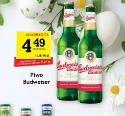 Gram Market Piwo Budweiser oferta
