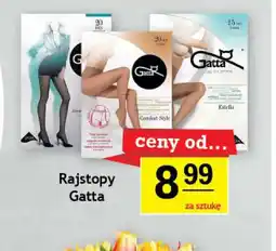 Gram Market Rajstopy Gatta oferta