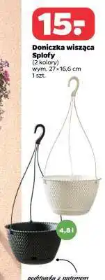 Netto Doniczka wisząca Splofy oferta