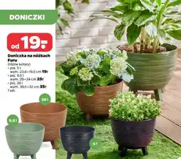 Netto Doniczka na nóżkach Furu oferta