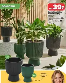 Netto Doniczka na nóżce z wkładem Miliy oferta