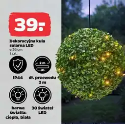 Netto Dekoracyjna kula solarna LED oferta