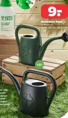 Netto Konewka Koni oferta