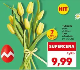 Kaufland Tulipany żółte, dł. 35 cm 7 szt. w bukiecie oferta