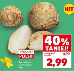 Kaufland Polski seler korzeń luzem 1 kg oferta