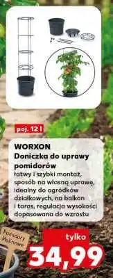 Kaufland WORXON Doniczka do uprawy pomidorów oferta