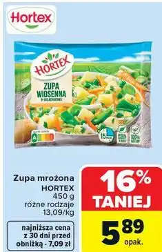Carrefour Zupa mrożona HORTEX oferta