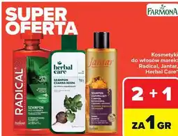 Carrefour Kosmetyki do włosów marek: Radical, Jantar, Herbal Care oferta