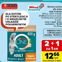 Carrefour Karma sucha dla kota ONE PURINA oferta