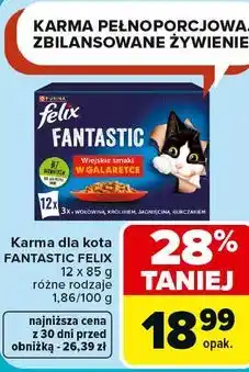 Carrefour Karma dla kota FANTASTIC FELIX oferta