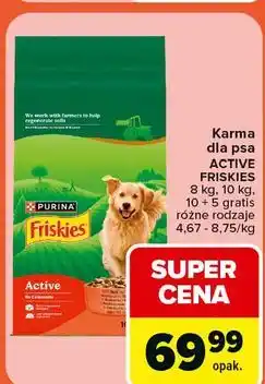 Carrefour Karma dla psa ACTIVE FRISKIES 8 kg, 10 kg, 10 + 5 gratis różne rodzaje oferta