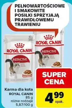 Carrefour Karma dla kota ROYAL CANIN oferta