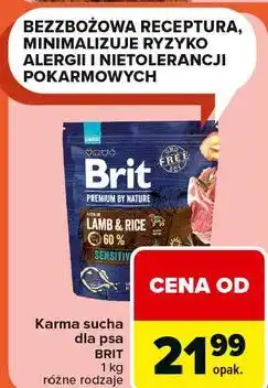 Carrefour Karma sucha dla psa BRIT 1 kg różne rodzaje oferta