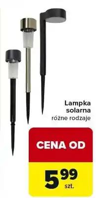 Carrefour Lampka solarna różne rodzaje oferta