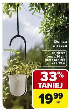 Carrefour Donica wisząca oferta