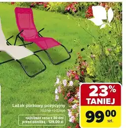 Carrefour Leżak plażowy pozycyjny różne rodzaje oferta