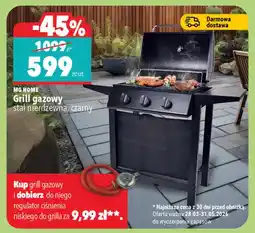 Biedronka Grill gazowy stal nierdzewna oferta