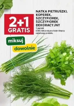Stokrotka Natka pietruszki, koperek, szczypiorek, szczypiorek dekoracyjny oferta