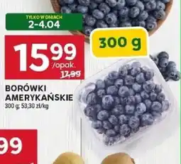 Stokrotka Borówki amerykańskie oferta