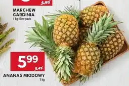 Stokrotka Ananas miodowy oferta