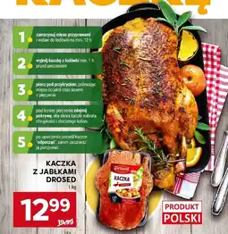 Stokrotka Kaczka z jabłkami drosed oferta